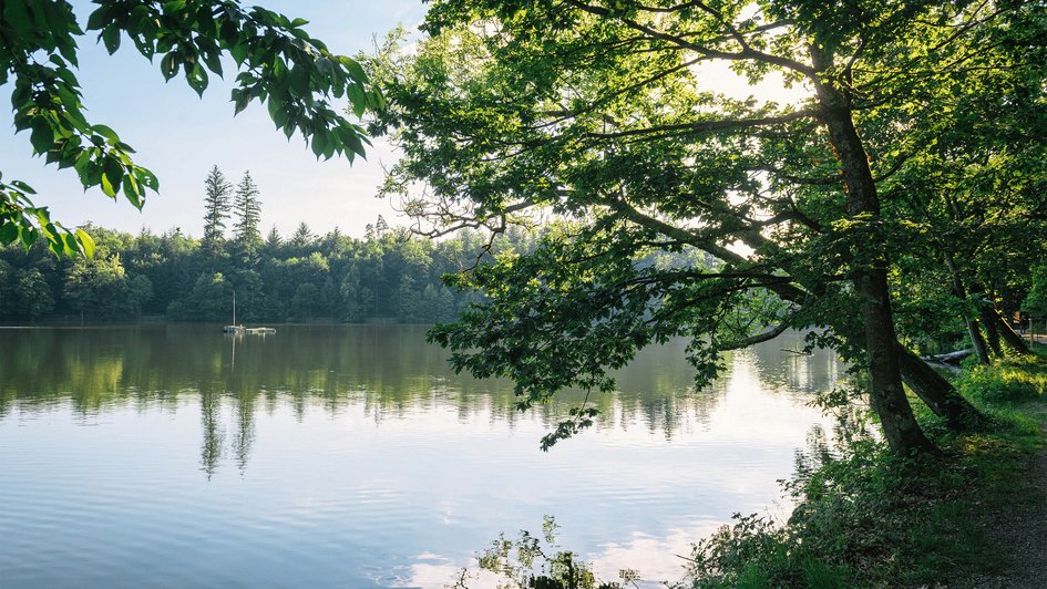 See mit Bäumen