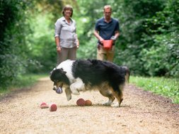 Artikel Herbst Zwei Personen mit Hund