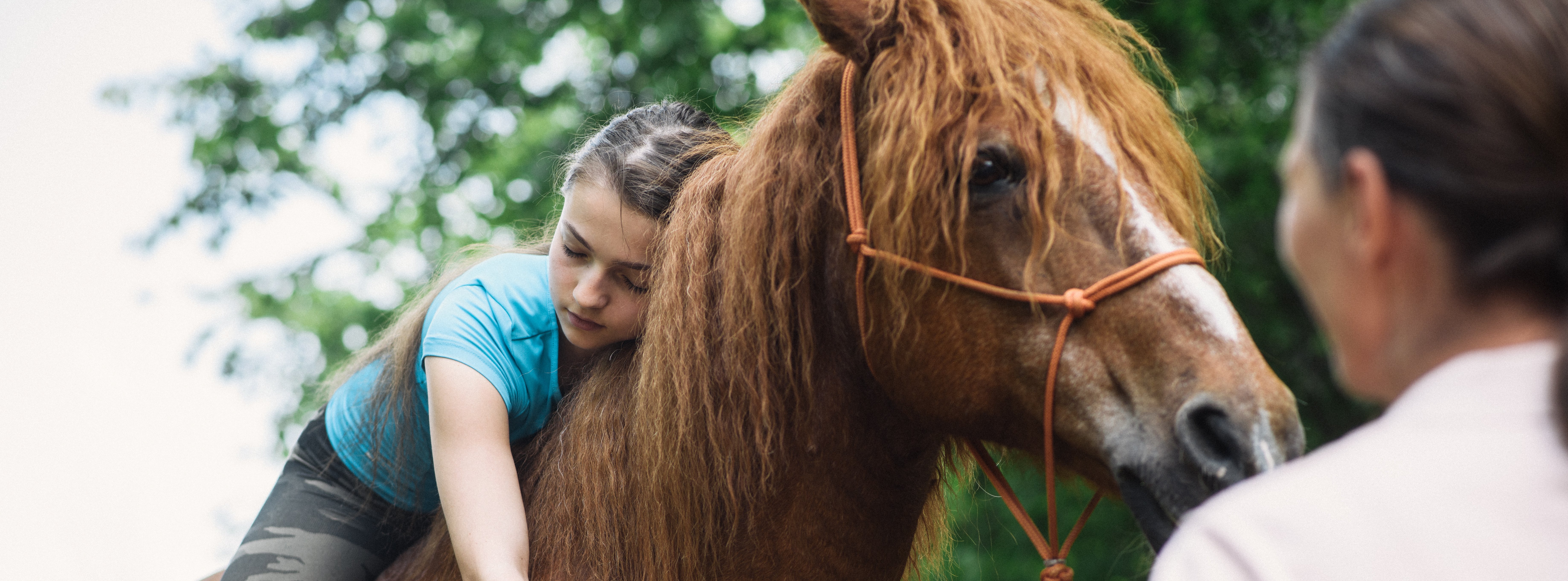 Therapie mit Tieren