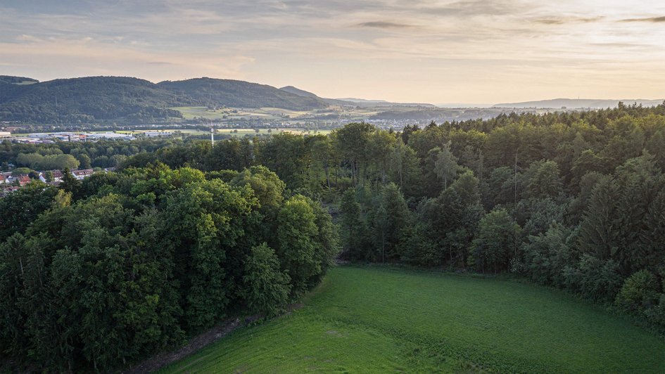 See im Sonnenschein eingebettet vom Wald. 