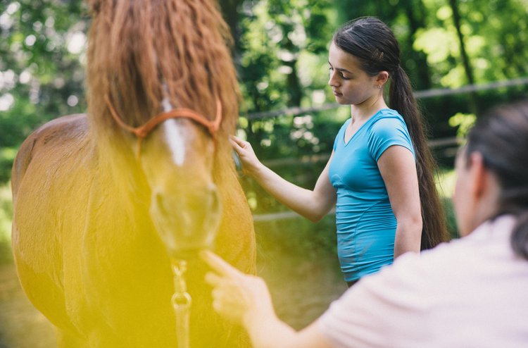 Therapie mit Pferden