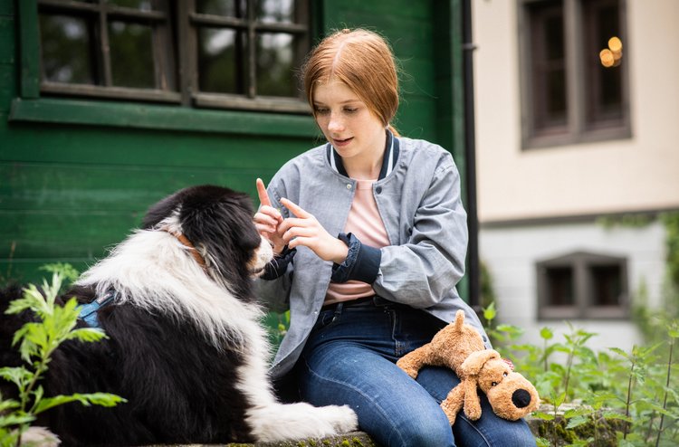 Tierische Therapie