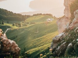 Alkoholismus - Landschaft