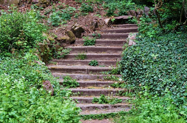 rjk stufen