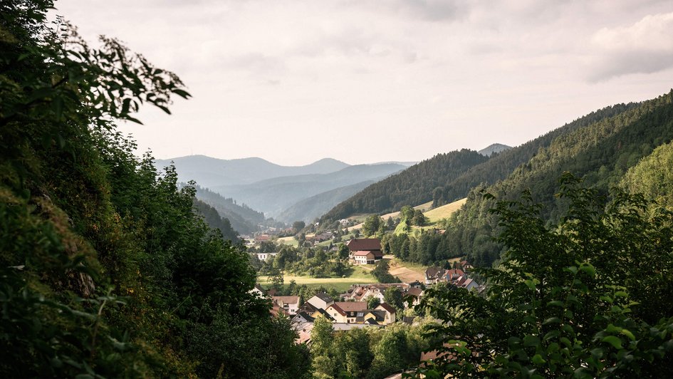 Stadtansicht Kinzigtal