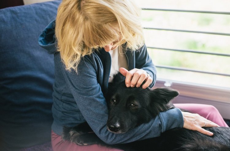 Tierbegleitete Psychotherapie