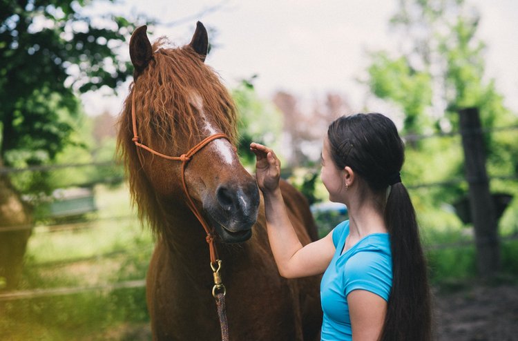 Reittherapie ADHS